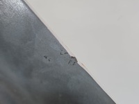 фото thumb №9, Крыло перед правый ford edge ii mk2 белый 17r