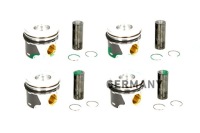 фото thumb №1, Borsehung b19303 набір кілець поршня