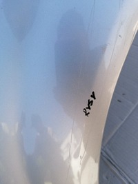 фото thumb №8, Крыло левый перед renault scenic ii 2 рестайлинг