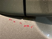 фото thumb №5, Двері праве перед vw passat b7 la8x