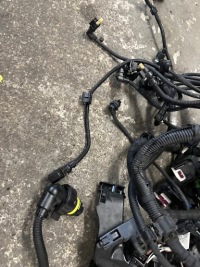 фото thumb №10, Джгут двигуна bmw 3 318i g20 b48b20a пошкоджена 46tyś km