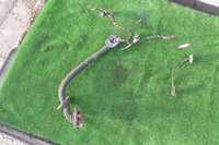 фото thumb №1, Электропроводка жгут дверь правое перед vw touareg 7p