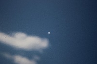 фото thumb №11, Капот кришка двигуна chevrolet captiva рестайлінг gar