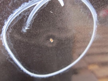 фото thumb №6, Audi q7 4l i 07r дверь правые зад