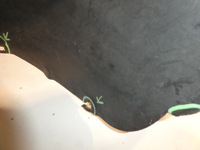 фото thumb №8, Підкрилок лівий перед vw transporter t5 7h0809961b