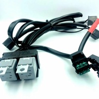 фото thumb №8, Джгут трубопровід автомобільних реле h4