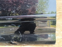 фото thumb №8, Vw golf 5 v plus двері задня правий kod lak lc9z