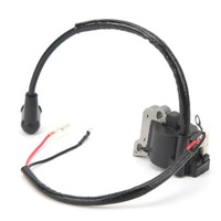 фото thumb №5, Модуль модуля катушки зажигания 42384001301