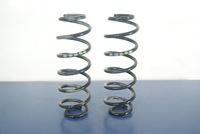 фото thumb №1, Skoda rapid liftback пружина пружини задні задня
