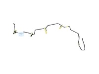 фото thumb №1, Ford ranger lift 17r 3.2 tdci шланг гальмівний