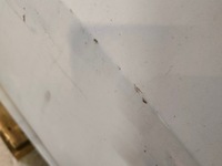 фото thumb №7, Двері передні правий перед bmw 3 g20