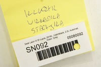 фото thumb №5, Sn092 seat leon iii замок зажигания 1k0953527d ключ вкладка комплект