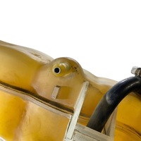 фото thumb №10, Dodge charger 2017 бачки розширювальний