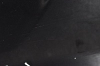 Ford ecosport кришка багажника багажника задні задня Київ, фото thumb