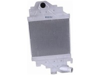 фото thumb №1, Интеркулер renault clio ii 1.5 thalia i 1.5