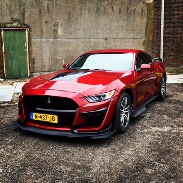 фото thumb №9, Капот алюминиевая gt500 стиль - неокрашенно mustang 2015-2017 v6, gt, ecob