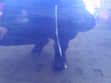 фото thumb №6, Дверь перед передние правые vw passat b5 рестайлинг 00-05