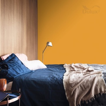 DULUX COLORS OF THE WORLD 2,5л - Корень куркумы