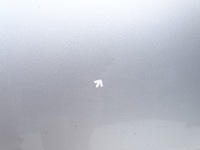 фото thumb №10, Двері праве правий перед seat exeo 3r 3r5 3r9 ls7y