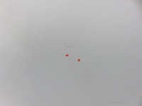 фото thumb №6, Дверь левая передние iveco daily vi фургон