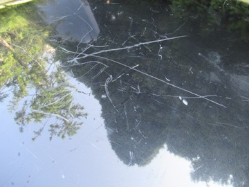 фото thumb №9, Mercedes w212 капот крышка двигателя e-klasa #19