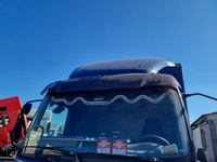 фото thumb №2, Накладка защита солнцезащитная daf 45 55 lf