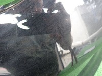 фото thumb №5, Mercedes w247 247 b-klasa 18- бампер передній