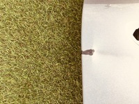 фото thumb №6, Opel crossland x 2016 дверь правое задние задняя