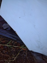 фото thumb №11, Капот mercedes vito