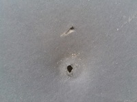 фото thumb №7, Jeep grand cherokee шумоізоляція капота oem