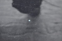 фото thumb №14, Hyundai ix35 дверь левый задняя задние pae