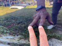 фото thumb №3, Двері ліва передні лівий перед citroen ds4 eku