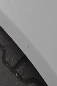 фото thumb №11, Maserati ghibli iii m157 бампер задняя задний pdc