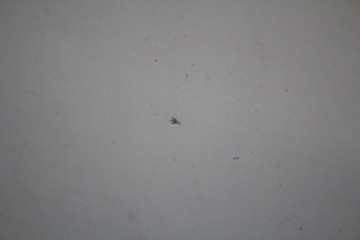 фото thumb №7, Дверь правые перед передние 850/0 mini cooper one r56 06-10