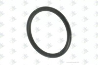 Купить Уплотнительное кольцо iveco iveco 17282381 euroricambi 30530503, фото thumb