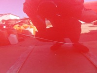 фото thumb №8, Двері лівий задня volkswagen vw golf vi hb la3s