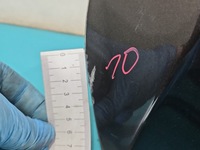 фото thumb №12, Капот передняя vw passat b7 коричневый lb8r