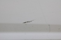 фото thumb №9, Kia ceed i 06r- двері праві передні праві перед wd