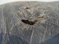 Шумоизоляция крыла левый левая перед ford c-max 1 mk1 Доставка, фото thumb