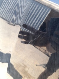 фото thumb №8, Dodge durango рестайлінг 18- капот pxj usa