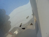 фото thumb №8, Крила лівий перед vw golf vii 5g0821105