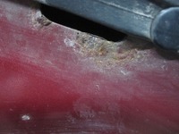 фото thumb №16, Mazda 6 ii gh 07r капот