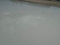 фото thumb №12, Ssangyong tivoli рестайлінг 19- капот кришка двигуна