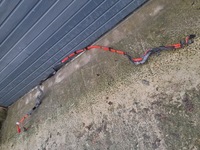 фото thumb №7, Bmw 1 f20 f21 f22 f23 lift 18r. шланг джгут плюсова акумулятор