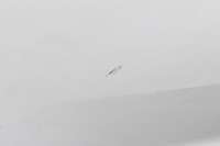 фото thumb №3, Kia sportage iii двері правий задня задні 90um