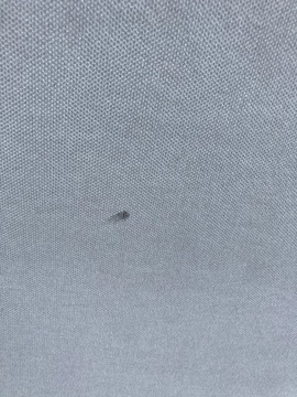 фото thumb №4, Стеля стеля citroen c4 iii 20-