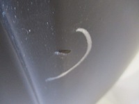 фото thumb №11, Peugeot expert 2016- бампер передній новий оригінальний 1615658280 9808639977