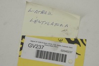 фото thumb №6, Gv237 jaguar xf x260 2.0d вентилятор вентилятора