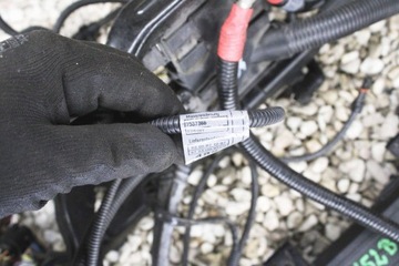 фото thumb №7, 7545213 bmw e90 n52b25 жгут двигателя автомат