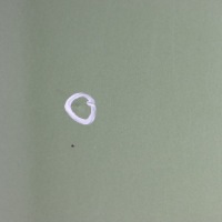 фото thumb №13, Mini r60 countryman дверь правое задние jungle green металлик - c15